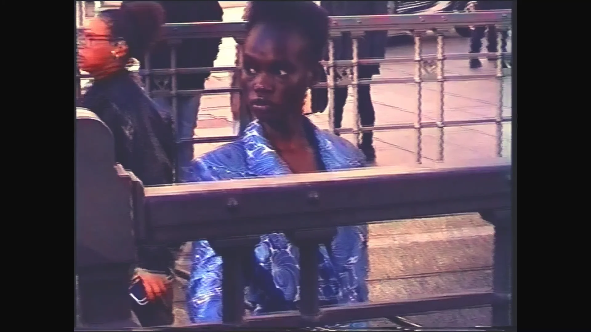 Todos Somos Gatos - Fashion Film